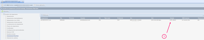 Paso 2: Vista de detalle de una conexión con status SYN_SENT y elapsed de varios minutos, mostrando el Reverse DNS del destino